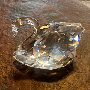 Swarovski | Accents | Swarovski Crystal Maxi Dolphin 22628 Wbox